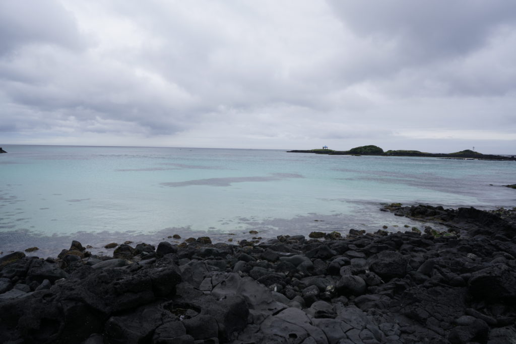 _DSC2011