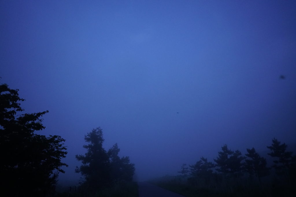 _DSC2030